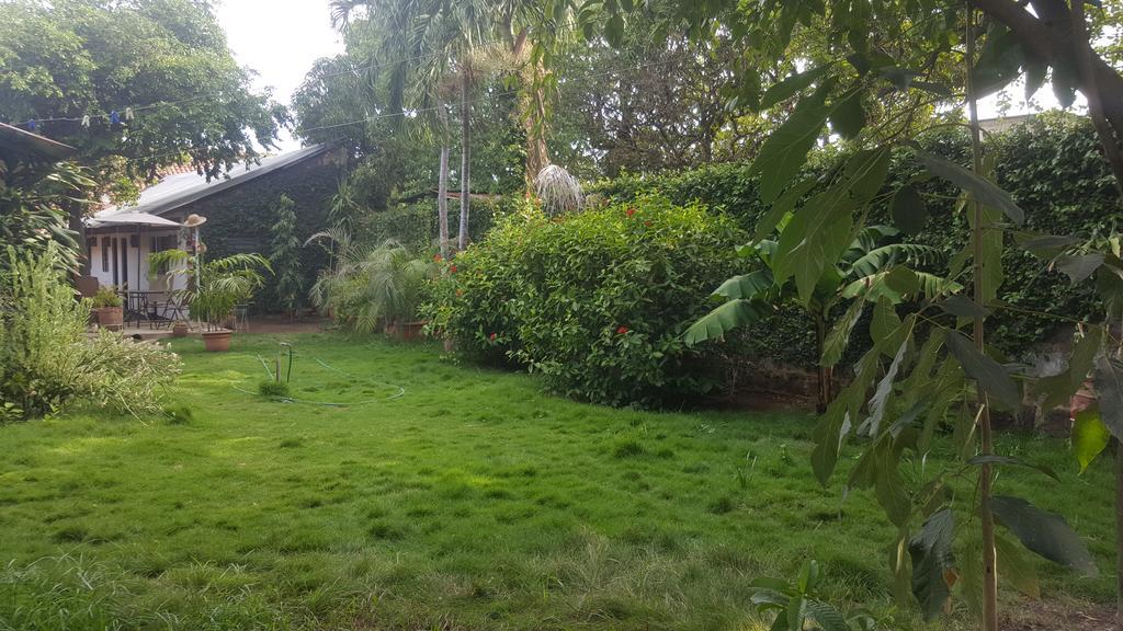 Hostal El Jardin Leon Luaran gambar
