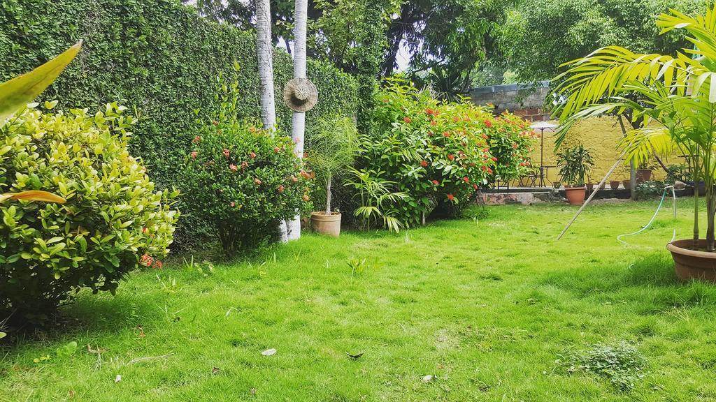 Hostal El Jardin Leon Luaran gambar